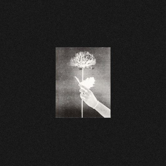 White Flowers | Day By Day (BLUE VINYL) - Vinyl