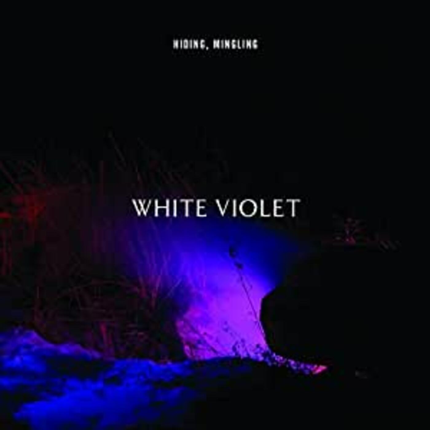 White Violet | Hiding, Mingling - Vinyl
