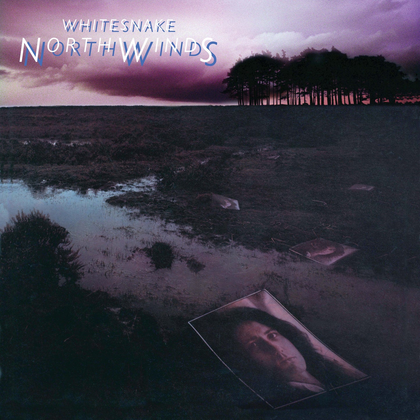 Whitesnake | NorthWinds (RKTBR24) (B&MEX) - Vinyl