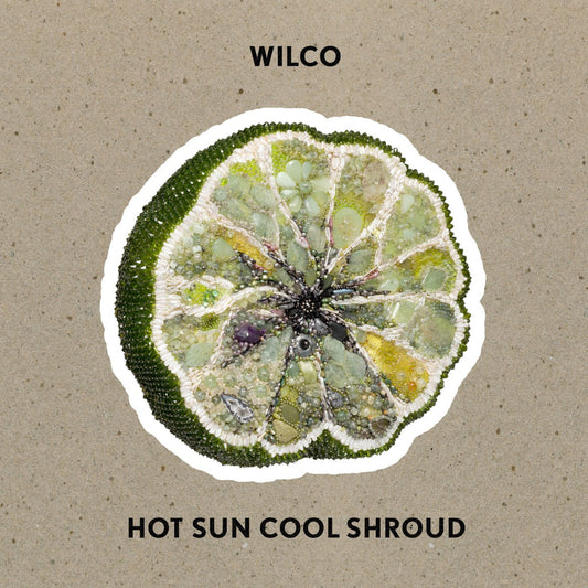 Wilco | Hot Sun Cool Shroud - Vinyl