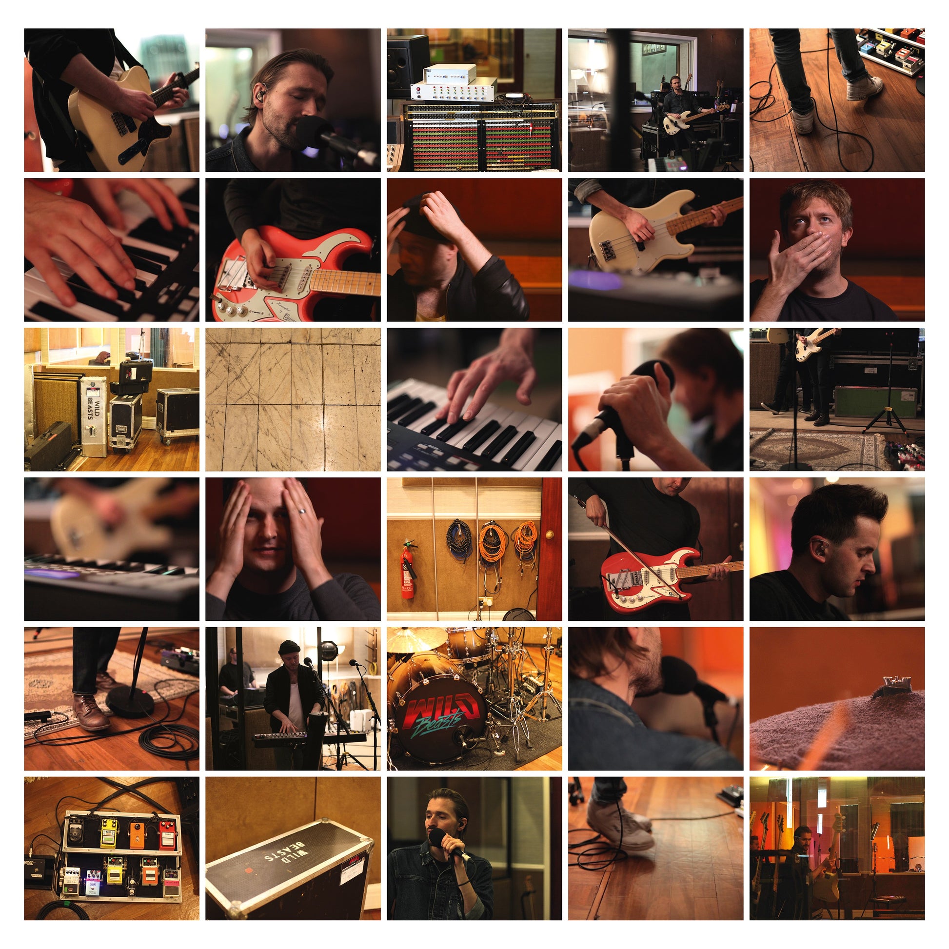Wild Beasts | Last Night All My Dreams Came True - Vinyl