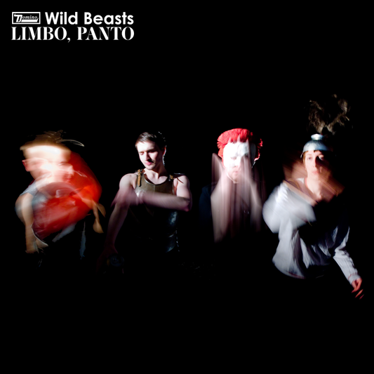 Wild Beasts | Limbo, Panto - Vinyl