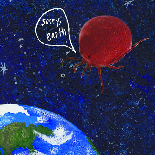 Wild Wild Geese | Sorry, Earth - CD