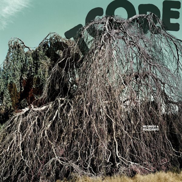 Wildbirds & Peacedrums | Heartcore - CD