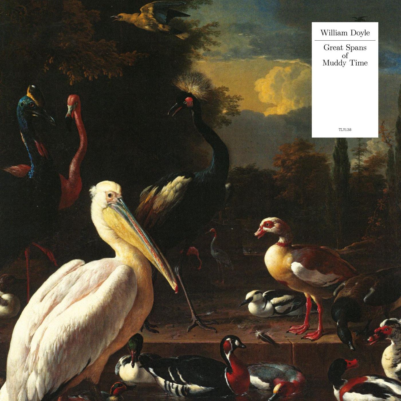 William Doyle | Great Spans Of Muddy Time (WHITE VINYL) - Vinyl