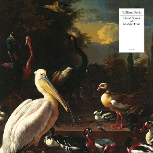 William Doyle | Great Spans Of Muddy Time (WHITE VINYL) - Vinyl