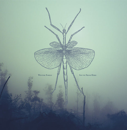 WINTER FAMILY | South From Here - CD
