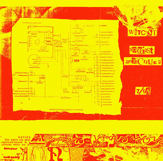 WITCYST | Soibiast Anti-Culler - Vinyl