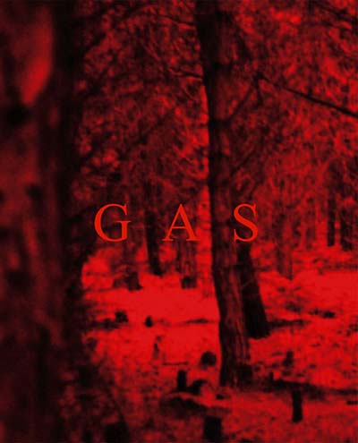 WOLFGANG VOIGT | Gas - Book