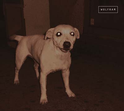 WOLFRAM TRIO | Wolfram - CD