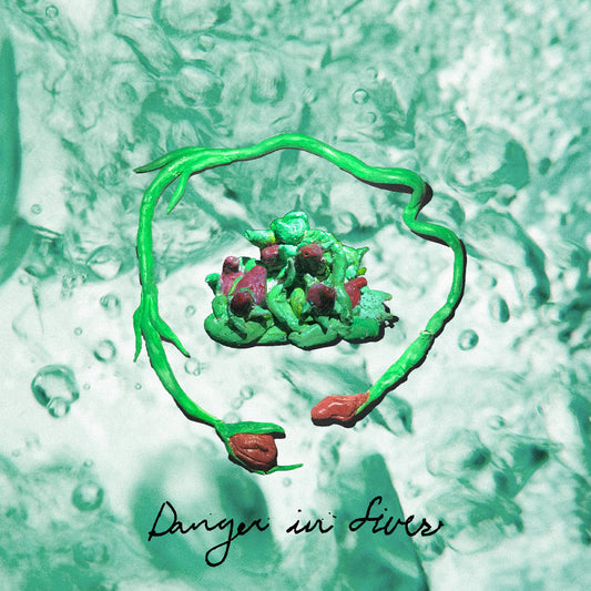 Wombo | Danger In Fives - CD