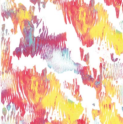 XIPHIIDAE | Pass Hidingly Seek - Vinyl