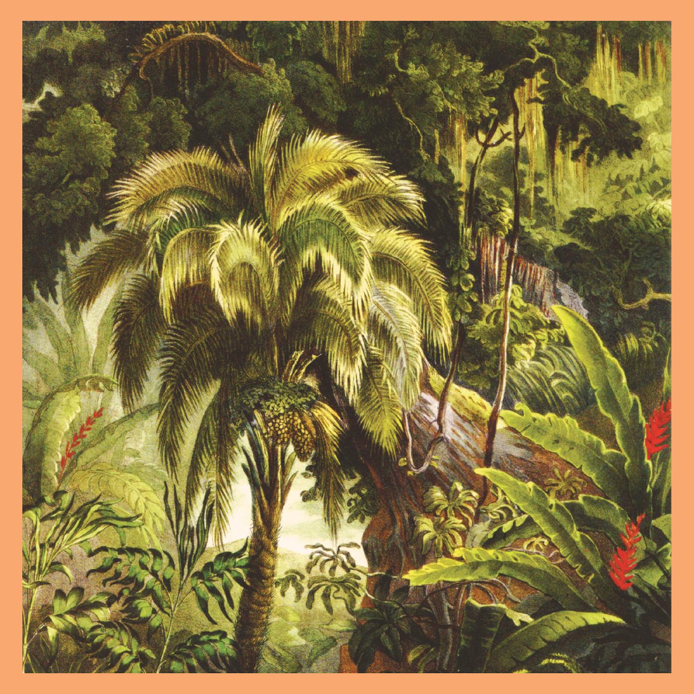 Xiu Xiu | La Foret [Jade Eco-Mix Vinyl] - Vinyl