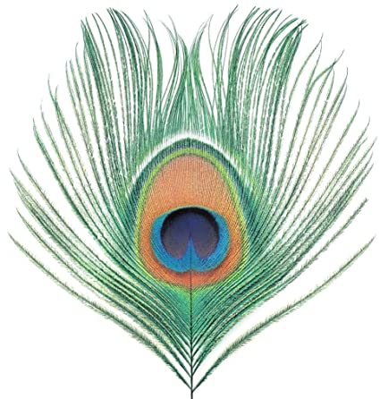 Xtc | Apple Venus Vol. 1 (200 Gram Vinyl) [Import] - Vinyl