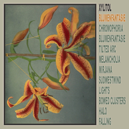 Xylitol | Blumenfantasie - Vinyl