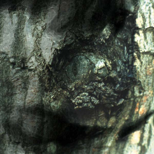 Yann Tiersen | La Valse des Monstres - CD