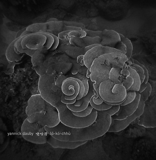 YANNICK DAUBY | Penghu Experimental Sound Studio Vol. 2 - Vinyl