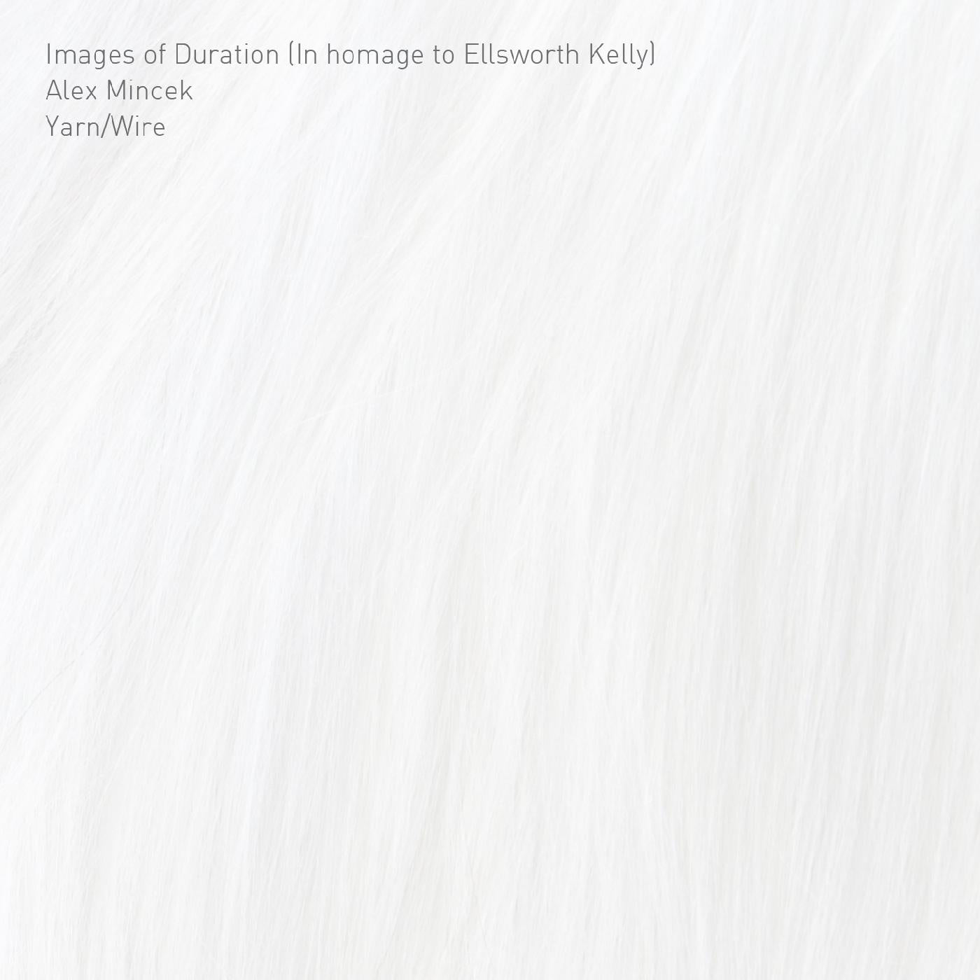 Yarn/Wire | Images of Duration (In homage to Ellsworth Kelly) - CD