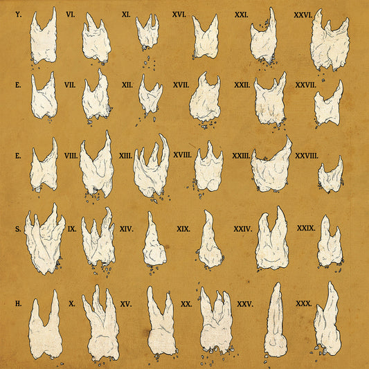 Yeesh | Confirmation Bias (RED VINYL) - Vinyl
