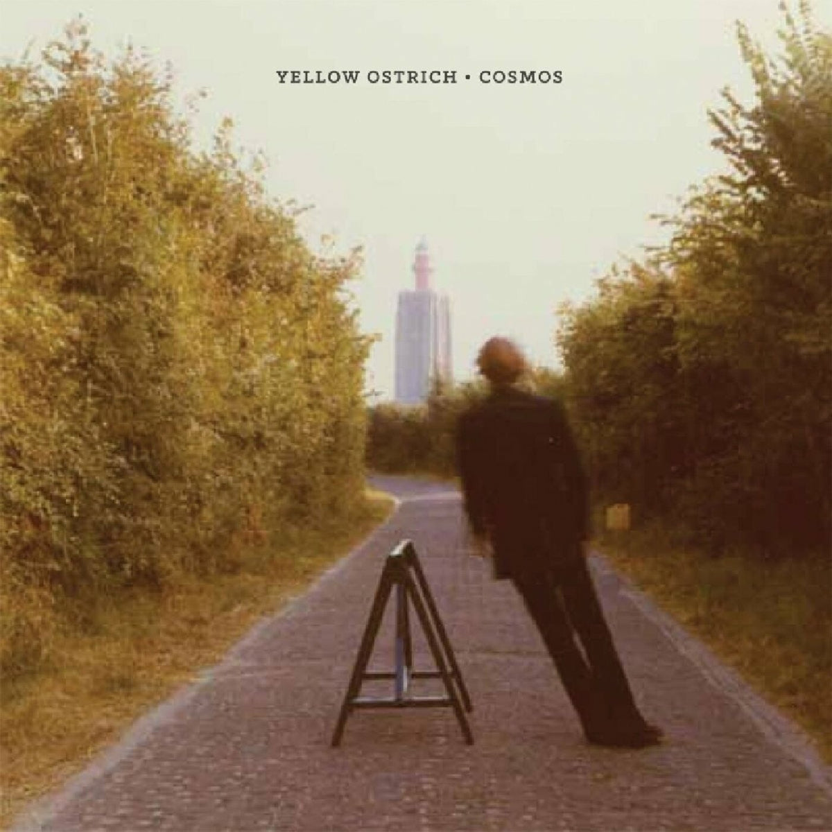 Yellow Ostrich | Cosmos - Vinyl