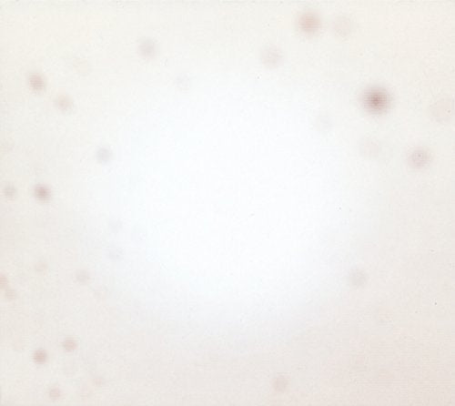 Yo La Tengo | There's A Riot Going On - Vinyl
