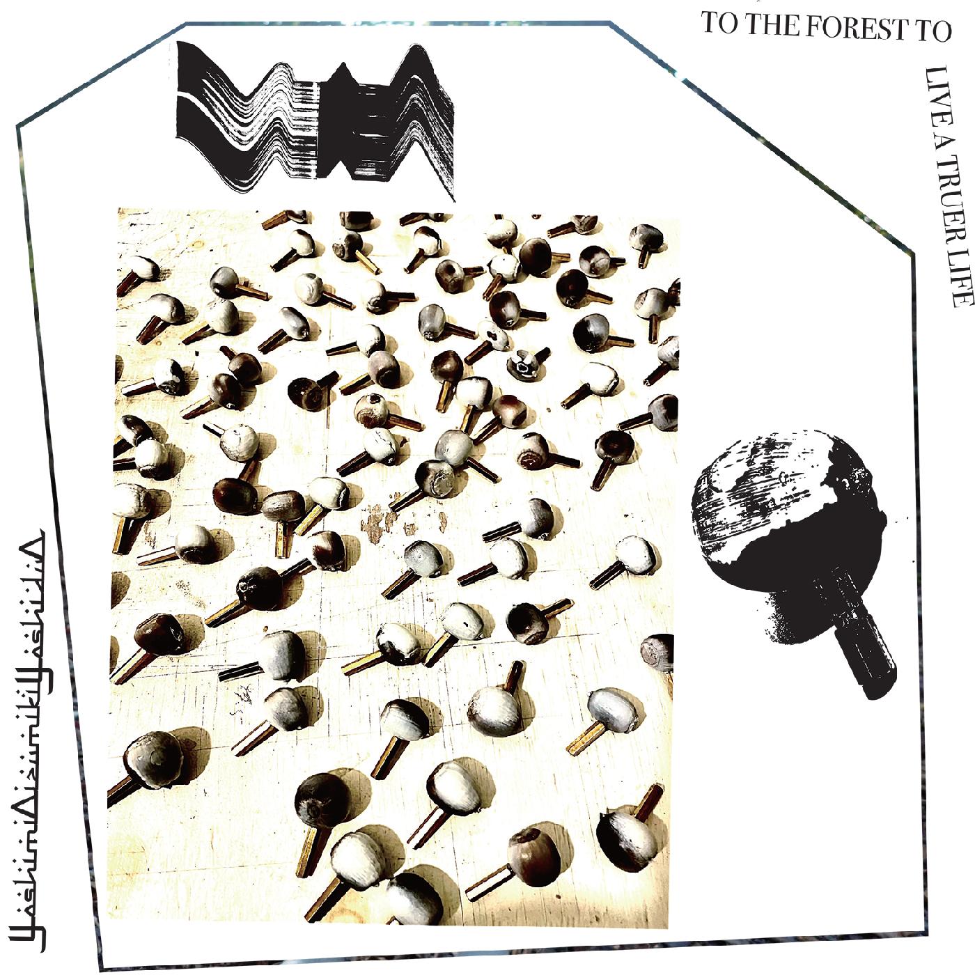 YoshimiOizumikiYoshiduO | To The Forest To Live A Truer Life - Vinyl