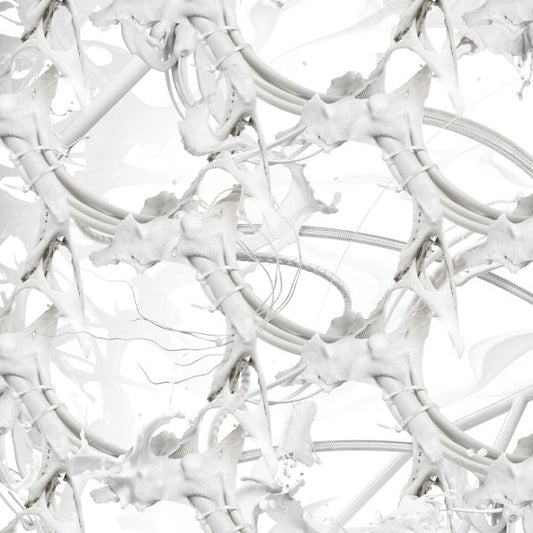 Ziur | U Feel Anything? - CD